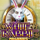 White Rabbit